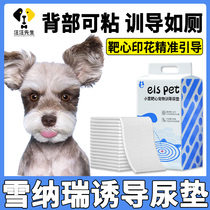 Shenrey Dog Training Target Cardiovascular Pad to Guide Toilet Puppy Induces Pet Digestive Pad Single-Single Adhesive