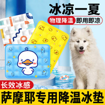 Samoye special dog ice cushion to tear large cool mattress cushion ice cushion cooling large dogs in summer