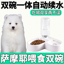 The Double Bowl High Face Value Young Dog Dog Food Tub Drinking Water Without Wet Mouth of Samoyer Dog Eat Automatic Renewal Water