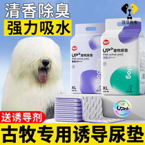 Ancient Husband Special Dog Pet Guided Pet Suction Paper Induced Disposable Diabeted Training Pad