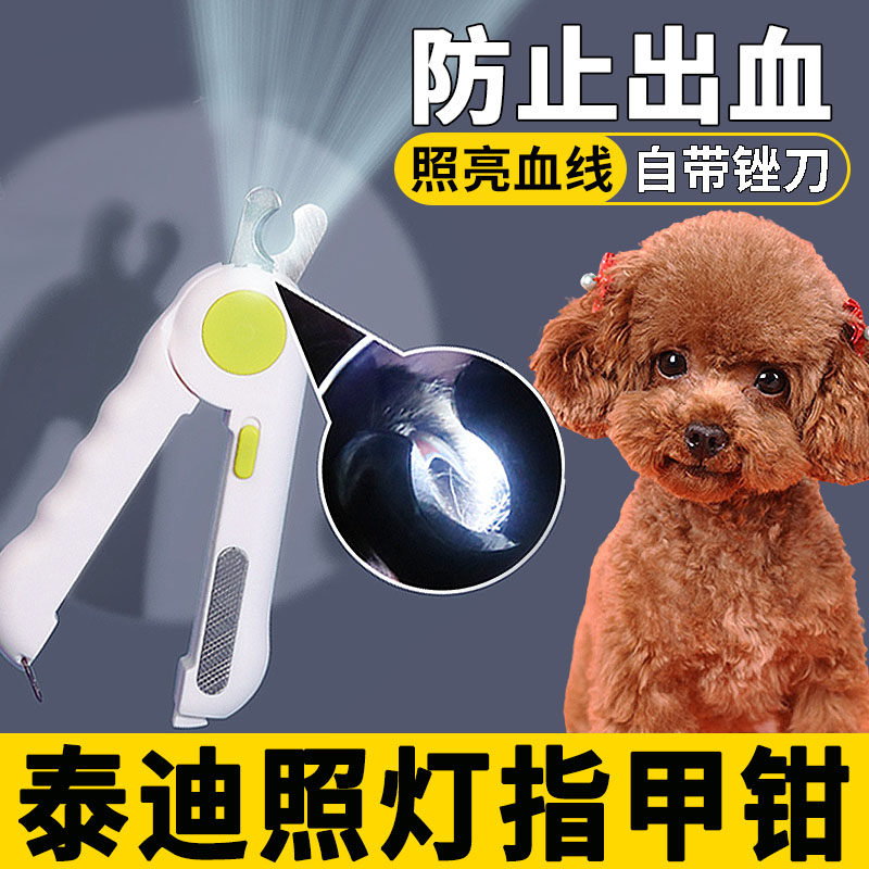 Teddy's special nail claw fingernails to cut off blood line small dog fingernails grinding paws toenails