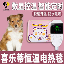 Joy Lotte Pet Small Dog Special Winter Electric Blanket Sleeping Nest Waterproof not to be covered with woolen heating Heating mat Large number