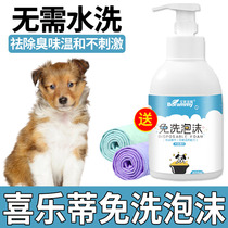 Joy Letti special Puppy dog puppies free of shreds Pets Dry Cleaning Foam Anti-odour Shampoo Bubble bath lotion