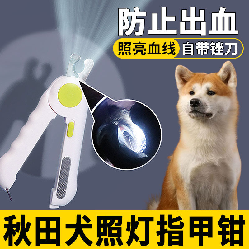 Akita special nail claw claw toenails with bleeding nails cut off bloodline small dog fingernails