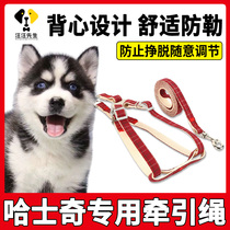 Hasch special dog walking rope puppy vest type small dog rope anti-bite chest adjustable