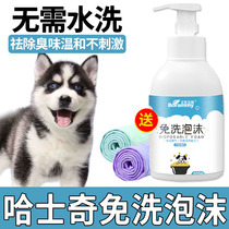 Hasky Special Puppy Dog Puppy Dry Cleaning Bubble Dry Cleaning Bubble Defending Shanghai Bubble Bath Delivery
