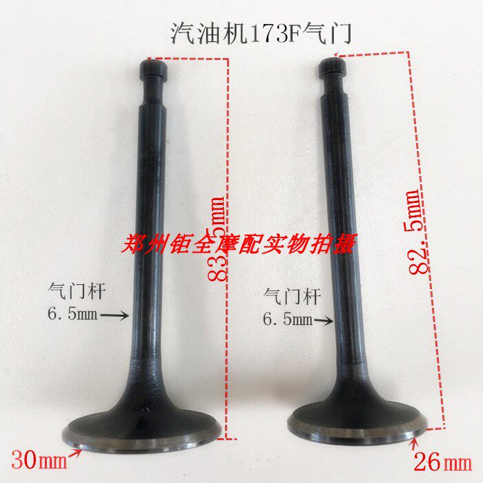 Gasoline generator parts 173 173fvalve
