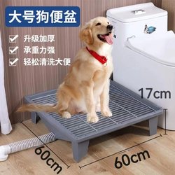 Direct Drain Stainless Steel Mesh 60cm Automatic Sensor Flush Dog Toilet Cat Dog Pet Toilet Medium Dog