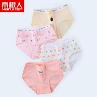 [Пакет из четырех штук] Поздние весенние красные фрукты