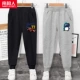 Гоночные динозавры k/чернокожие k/grey