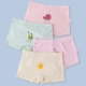 [Basic Four Pack] серия вишни