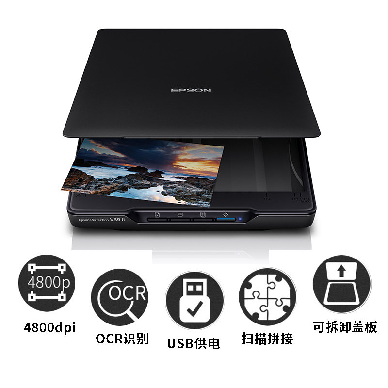Сканер Epson V19II домашний