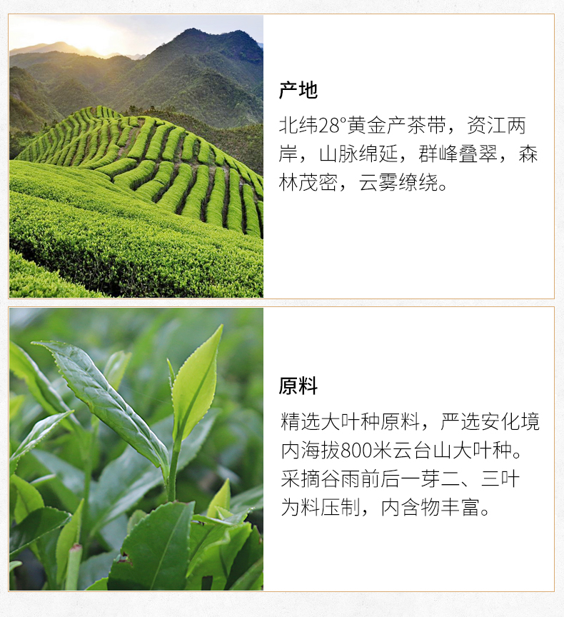 神价格 中国顶级黑茶品牌 白沙溪 天茯茶 安化黑茶 1000g 图7
