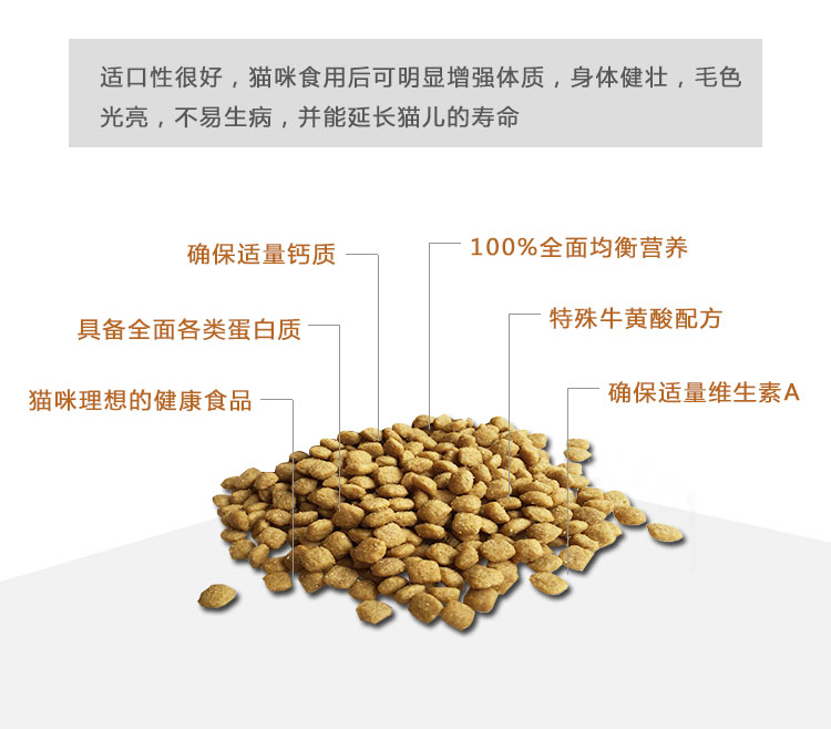 Chăm sóc mèo đi lạc Thức ăn cho mèo có hương vị cá biển 5 kg 2500 g Thức ăn cho mèo Mèo - Gói Singular hạt canin