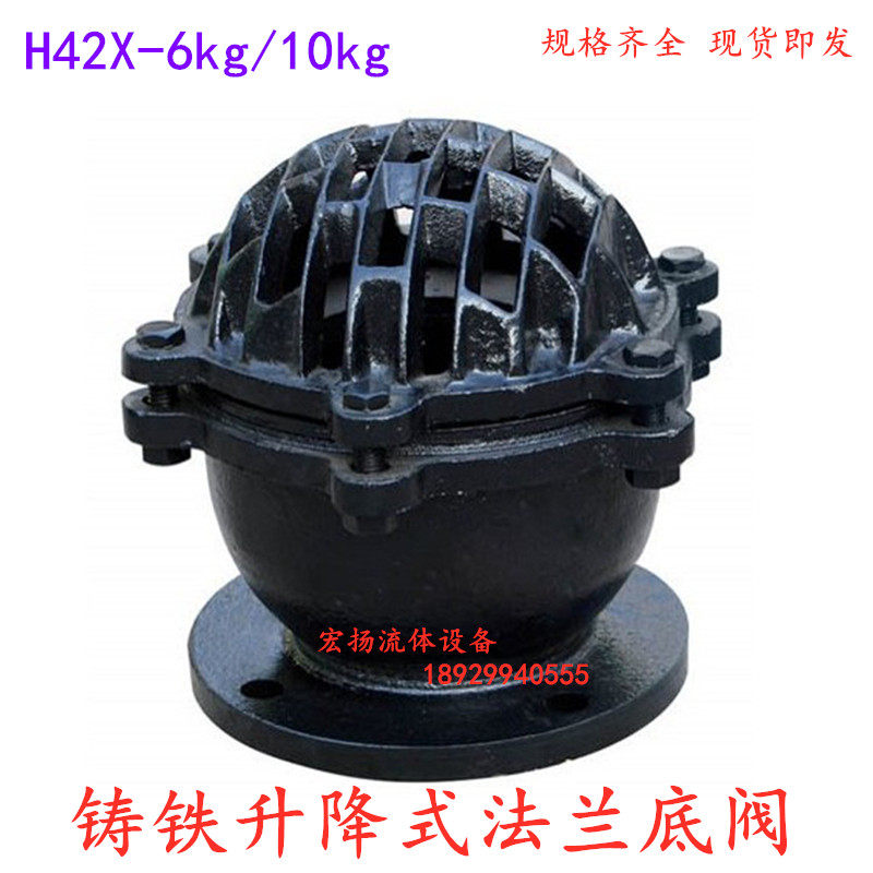 Cast Iron Flange Bottom Valve H42X-6 10 Flange LiftIng Bottom Valve Pump Pump Bottom Valve Basket Check Valve