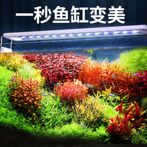 Fish Tank led waterproof lighting special full spectrum small color enhancement festival bracket light stand aquarium popping algae water straw lamp