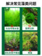 Fish Tank Algae Remover, Algae Removal Agent, Removes Green Algae, Brown Algae, Black Hair Algae, and Green Moss Without Harming Fish, Algae Killer for Green Water