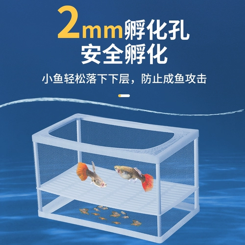 Изоляция рыб Ансорбционная сеть Адсорбционная сеть сети