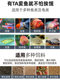 WIFI fish tank feeder intelligent timed feeding of ornamental fish and turtle food fixed small automatic fish feeding artifact