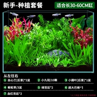 Подходит пакет с начинающими заводами [30-60 см]