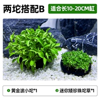 Два части C [подходит для цилиндра длиной 10-20 см]