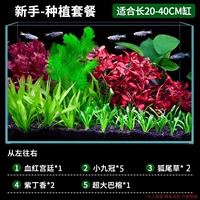 Пакет начинающих растений подходит для [20-40 см]
