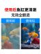 Nitrifying Bacteria for Fish Tanks Are Used to Purify Water, Decompose Fish Waste, and Improve Water Stability. Nitrifying Bacteria