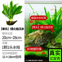 Зеленая девять корона Шенму