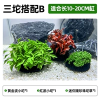 Три Туо с B [подходит для цилиндра длиной 10-20 см]]