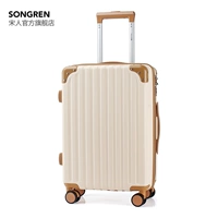 Ivory White [Dry and Wet Sdentation Model Model]