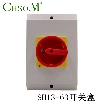 SH13-40A 63A identical LW26 type universal transfer switch with waterproof case switching on and off switch
