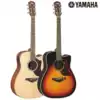 Yamaba Japan origin A5R new goods A1RA3RVNARE AC3M full veneer folk electric box guitar