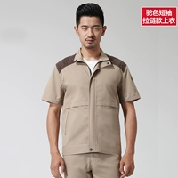 16 модели на молнии верблюда (вверху)