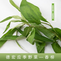 Yunnan specially produces a cool and cool fish - tai cake cooked fish - and - Dai debris 1 kg