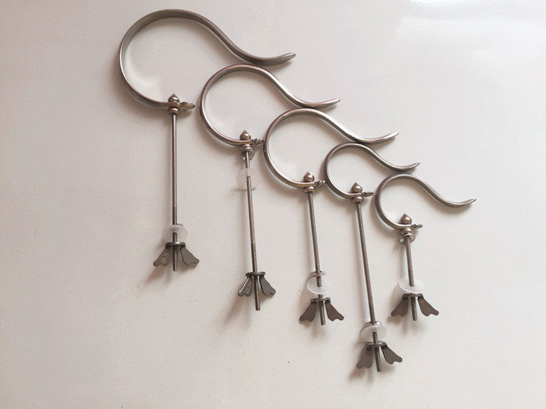 Bird Cage Stainless Steel Light Plate Indie red Sub-embroidered Eye Painting Brow Hook Four Models Hook to Wholesale