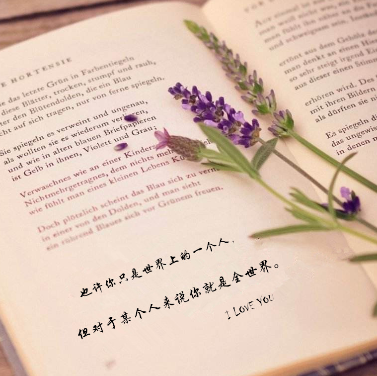 Bague mixte OTHER   en Argenterie - Ref 3088223 Image 7