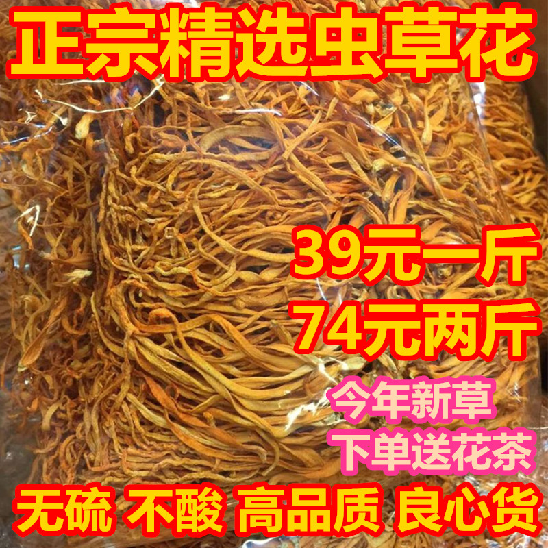 Cordyceps Flower Farm Cordyceps Flower Dried Goods Selection Golden Grass Flower 500g Cordyceps militaris Bag Selection Sulfur Free