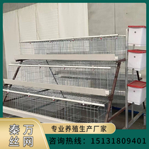 Manufacturer of a complete set of automatic manure cleaning assembly equipment for cascading ladder-type household breeding large cages in laying hen cage farms