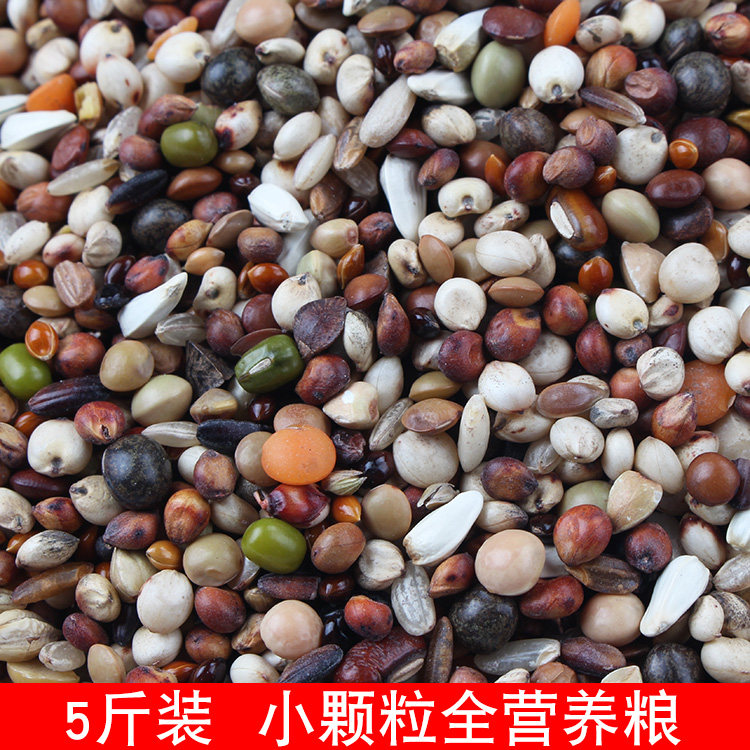 5 Catty Dress Crown Small Grain Seed Devil Dove Grain No Corn Young Pigeon Nutrient Feed Universal Spotted