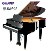 Bản gốc nhập khẩu Nhật Bản Yamaha C3 grand piano trẻ em dành cho người lớn thực hành chơi đàn piano chuyên nghiệp - dương cầm