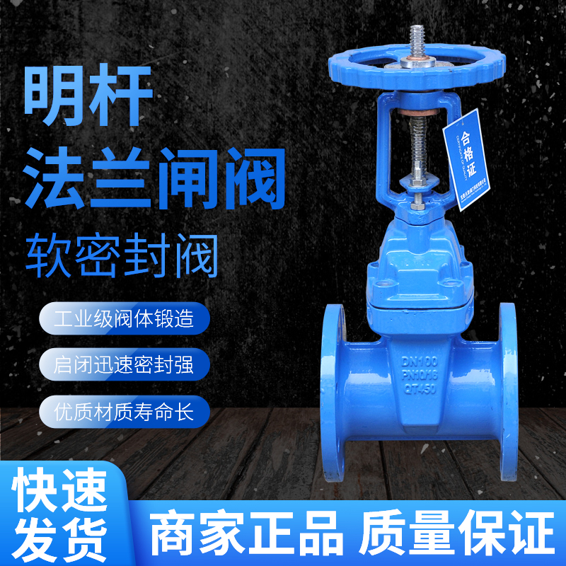 Min Rod Flange Gate Valve dn100 Ductile Iron Gate Soft Seal Fire Clarity Rod gate DN100 Man anti-flange valve