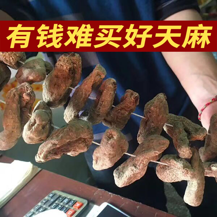 Authentic Yunnan Zhaotong Xiaocaoba Wu Tianma selected sulfur-free Tianma sliced ultrafine powder 500g grams