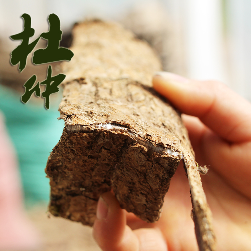 Guizhou special production of cortex eucommiae Flower Peel Grade of Cortex Eucommiae leather Moon Pot Soup of Tea Tea Bubble Wine 250g