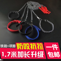Dog leash rope iron chain dog chain small medium sized large dog collar Teddy golden hair dog rope iron chain