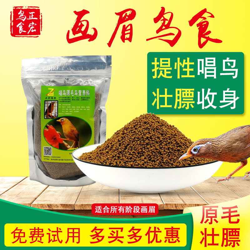 Positive macro Painting Brow with Feed Sexual Feed Competition Bird Grain Nutrition Special Price Promotion 500 gr Original Mao Use