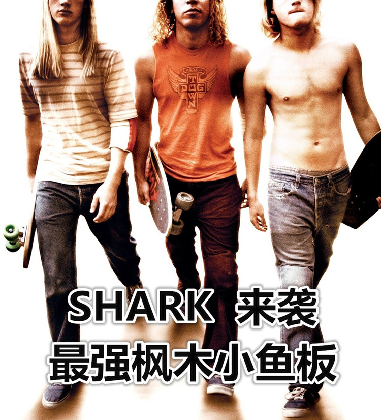Skateboard pour homme femme enfant       - Ref 2594042 Image 3