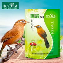 Naughty baby thrush young bird feed thrush bird feed bird feed baby bird white head Wong four happy special food