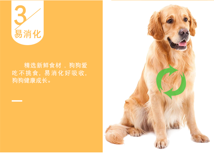 thực phẩm thịt bò Chó con vào một công thức dinh dưỡng giống phổ biến chủ nhân của chó Wei Chuan Thực phẩm 2,5 kg 5 kg Golden Retriever Chó Thực phẩm - Chó Staples thức an cho chó bao 20kg
