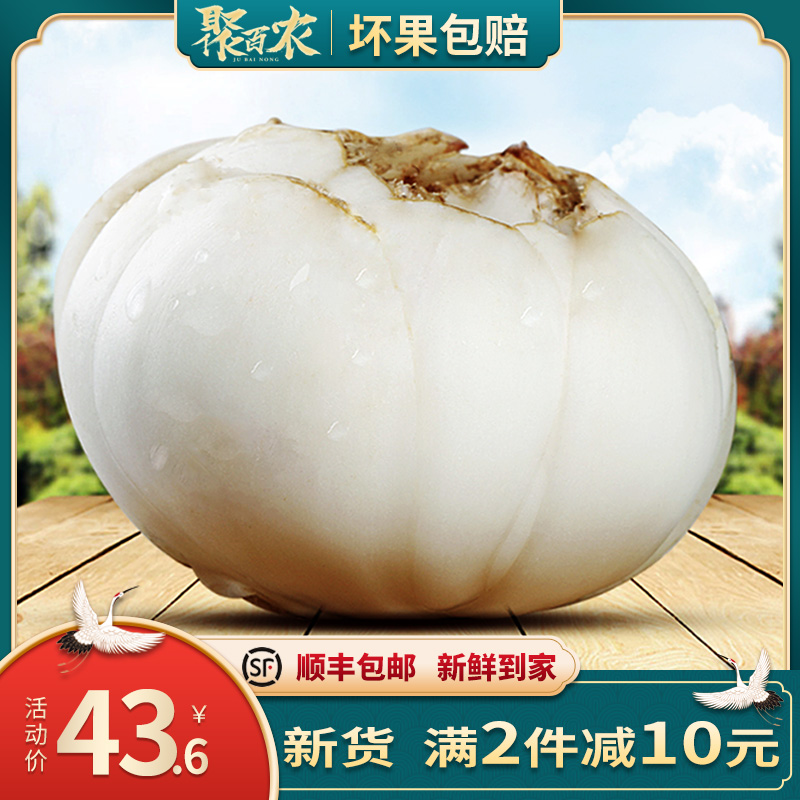 Help farmers Lanzhou two head lily fresh sweet white Lily boutique Gansu specialty non-dry premium edible 500g