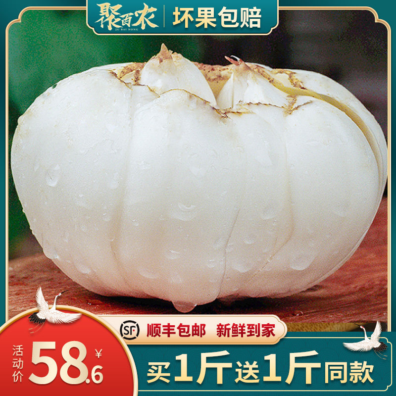 500g Da Huang Lanzhou fresh sweet lily Gansu specialty non-dried premium white lotus seeds edible now newly dug